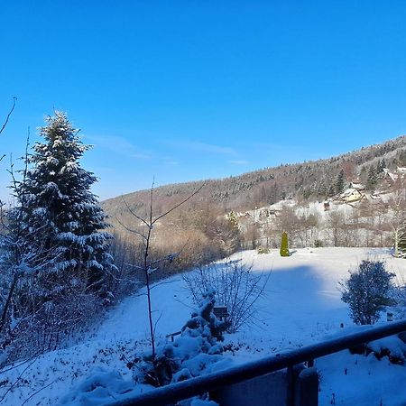 Schwarzwald Pur Apartment Sasbachwalden Bagian luar foto