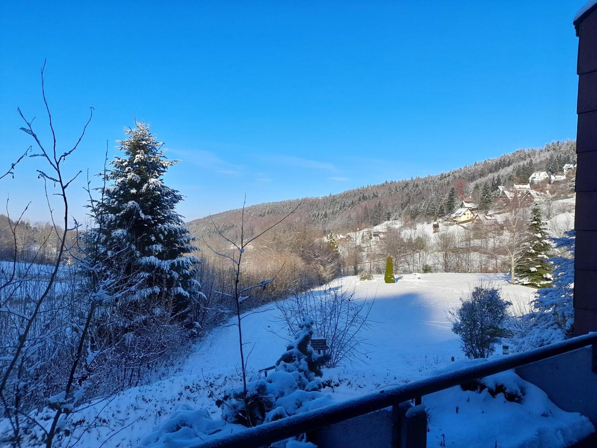 Schwarzwald Pur Apartment Sasbachwalden Bagian luar foto