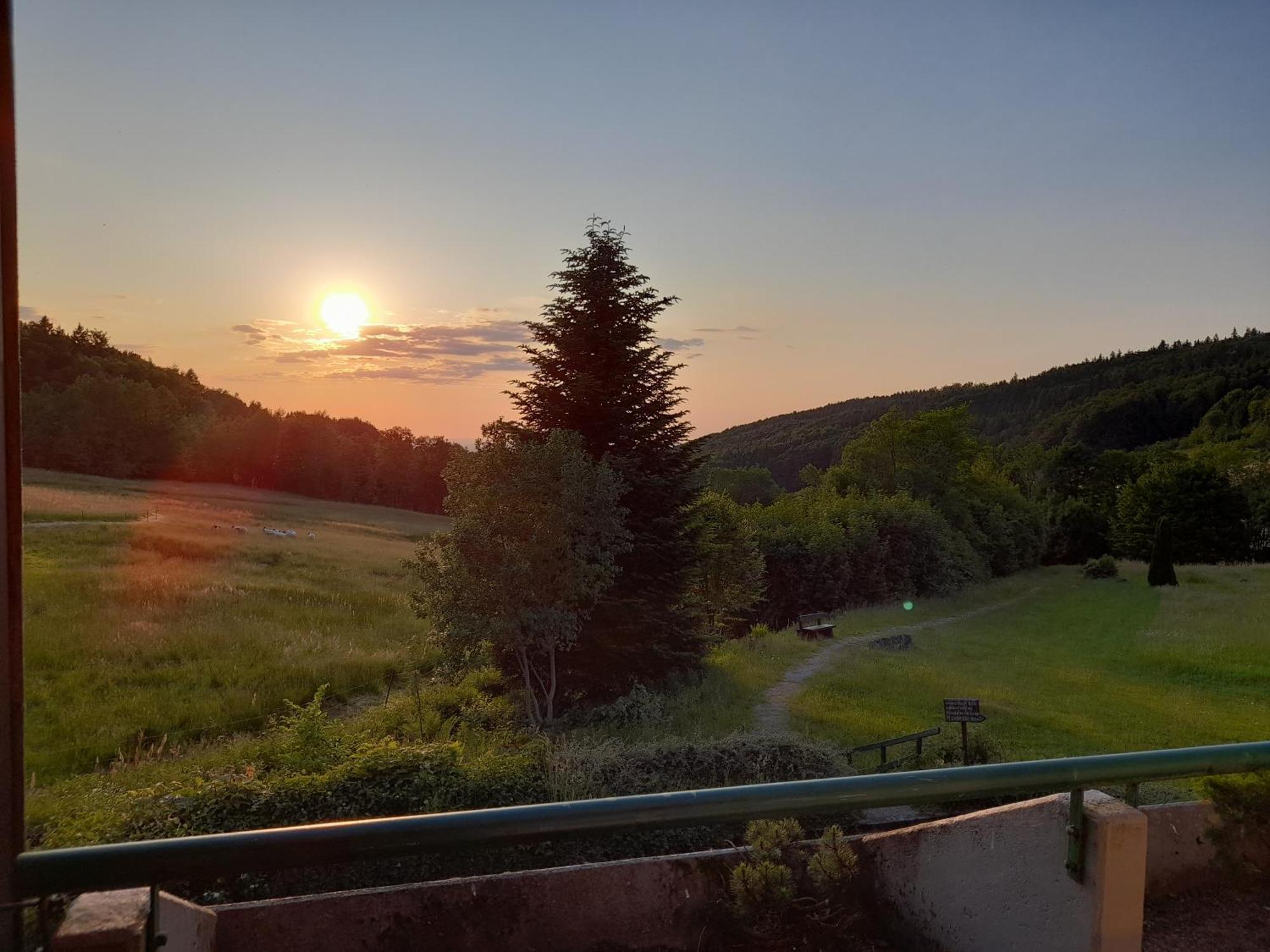 Schwarzwald Pur Apartment Sasbachwalden Bagian luar foto