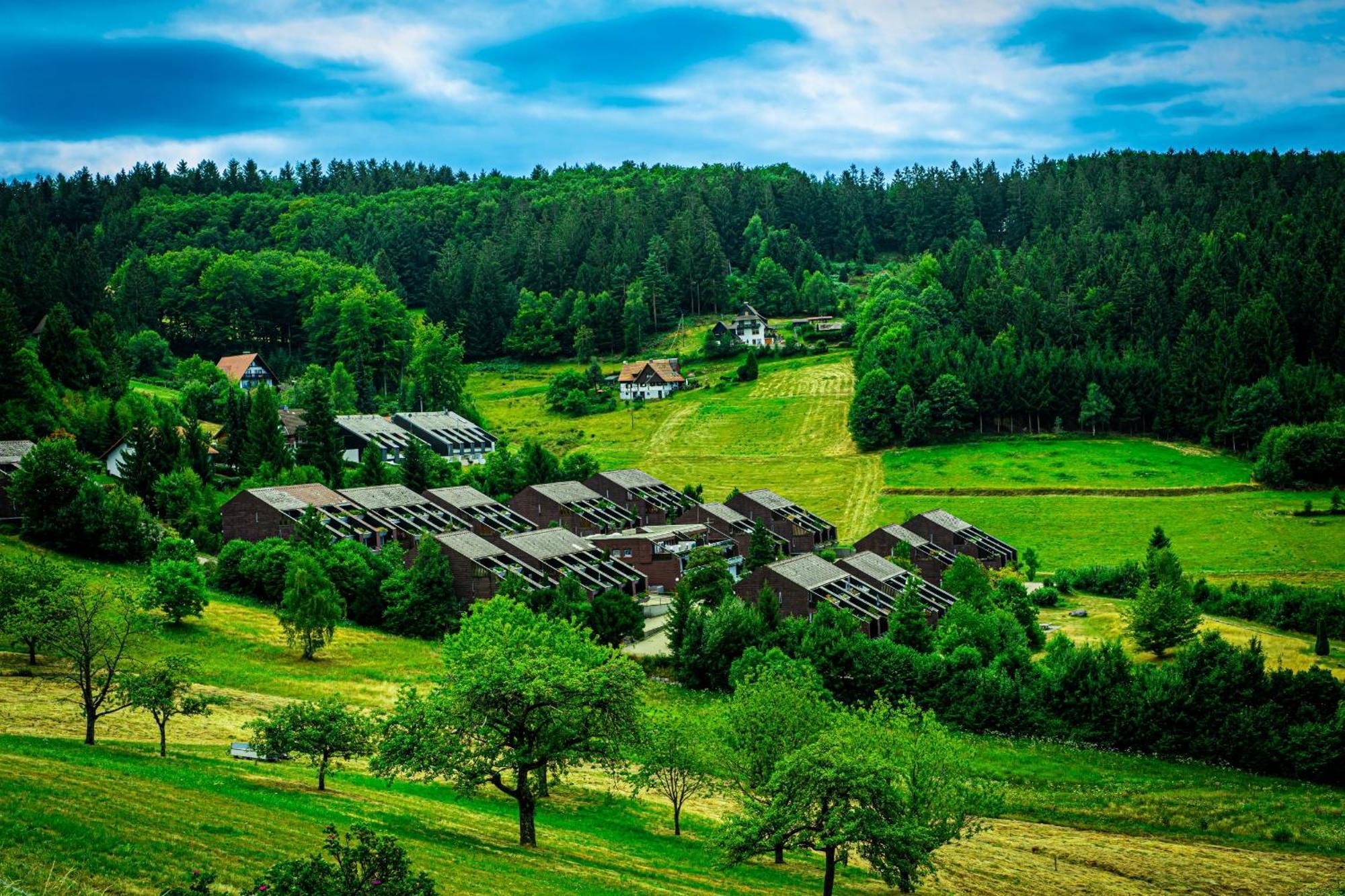 Schwarzwald Pur Apartment Sasbachwalden Bagian luar foto