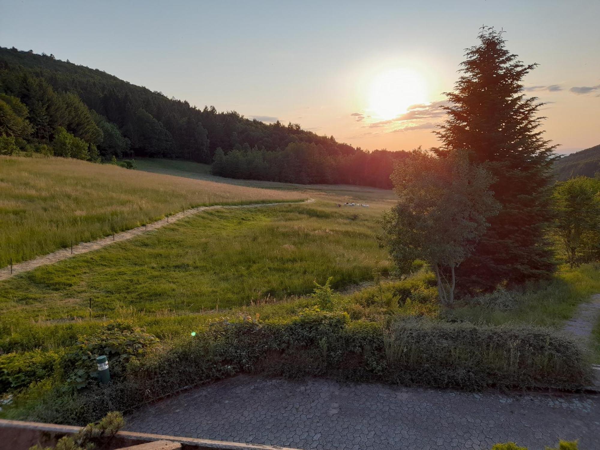 Schwarzwald Pur Apartment Sasbachwalden Bagian luar foto